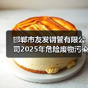 邯郸市友发钢管有限公司2025年危险废物污染环境防治信息公示（图2）