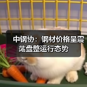 中钢协：钢材价格呈震荡盘整运行态势（图2）