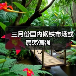 三月份国内钢铁市场或震荡偏强(图2) 三月份国内钢铁市场或震荡偏强(图2)