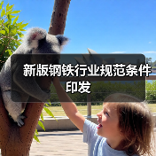 新版钢铁行业规范条件印发(图2) 新版钢铁行业规范条件印发(图2)