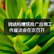 钢结构建筑推广应用工作座谈会在京召开(图4) 钢结构建筑推广应用工作座谈会在京召开(图4)