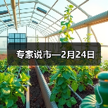 专家说市—2月24日（图3）