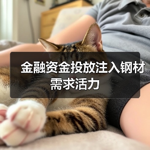 金融资金投放注入钢材需求活力（图4）