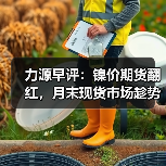 财政发力促经济复苏 房贷利率调整收官