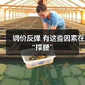 钢价反弹 有这些因素在 “撑腰”（图2）