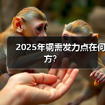 2025年钢需发力点在何方？