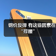 钢价反弹 有这些因素在 “撑腰”（图4）