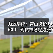 力源早评：青山喊价14600！现货市场趁势涨50调整心态（图4）