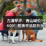 力源早评：青山喊价14600！现货市场趁势涨50调整心态（图3）