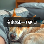 专家说市—1月6日（图2）