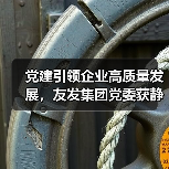党建引领企业高质量发展，友发集团党委获静海区先进基层党组织荣誉（图4）