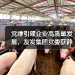 党建引领企业高质量发展，友发集团党委获静海区先进基层党组织荣誉（图3）