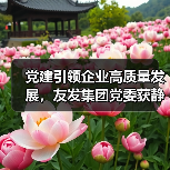 党建引领企业高质量发展，友发集团党委获静海区先进基层党组织荣誉（图2）