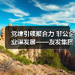 党建引领聚合力 非公企业谋发展——友发集团党委荣获先进基层党组织称号（图3）
