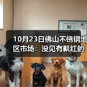 10月23日佛山不锈钢地区市场：没见有飘红的现象，不锈钢短期偏弱势。（图3）