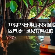 10月23日佛山不锈钢地区市场：没见有飘红的现象，不锈钢短期偏弱势。