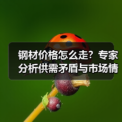 钢材价格怎么走？专家分析供需矛盾与市场情绪（图4）