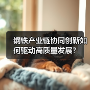 钢铁产业链协同创新如何驱动高质量发展？