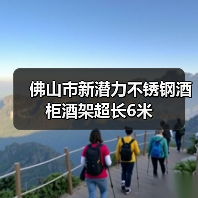 佛山市新潜力不锈钢酒柜酒架超长6米（图3）