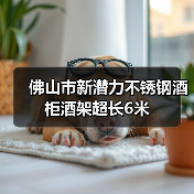 佛山市新潜力不锈钢酒柜酒架超长6米（图2）