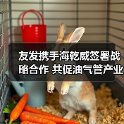 友发携手海乾威签署战略合作 共促油气管产业升级（图3）