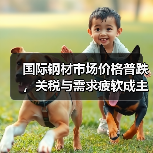 国际钢材市场价格普跌，关税与需求疲软成主因？（图2）