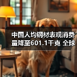 中国人均钢材表观消费量降至601.1千克 全球第三