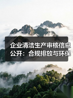企业清洁生产审核信息公开：合规排放与环保措施详解（图3）