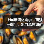上半年钢材需求“两强一弱”：出口承压如何稳增长？（图4）