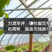 力源早评:镍价期货左右两难,现货市场跌50让利出货(图3) 力源早评:镍价期货左右两难,现货市场跌50让利出货(图3)
