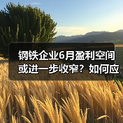 钢铁企业6月盈利空间或进一步收窄？如何应对？