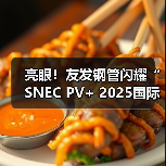 亮眼！友发钢管闪耀“SNEC PV+ 2025国际光伏储能两会”（图3）