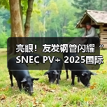 亮眼！友发钢管闪耀“SNEC PV+ 2025国际光伏储能两会”