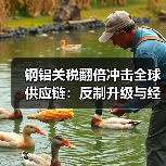 钢铝关税翻倍冲击全球供应链:反制升级与经济连锁反应(图3) 钢铝关税翻倍冲击全球供应链:反制升级与经济连锁反应(图3)