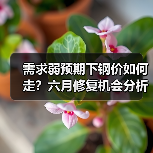 需求弱预期下钢价如何走？六月修复机会分析（图3）