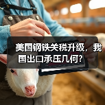 美国钢铁关税升级，我国出口承压几何？（图2）