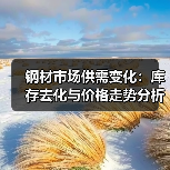 钢材市场供需变化：库存去化与价格走势分析（图4）