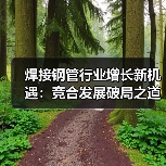 焊接钢管行业增长新机遇:竞合发展破局之道(图2) 焊接钢管行业增长新机遇:竞合发展破局之道(图2)