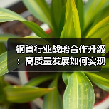 钢管行业战略合作升级:高质量发展如何实现?(图2) 钢管行业战略合作升级:高质量发展如何实现?(图2)