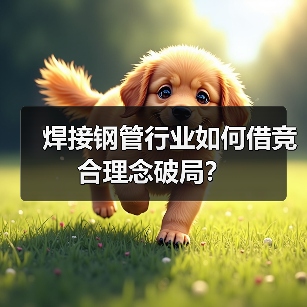 焊接钢管行业如何借竞合理念破局?(图3) 焊接钢管行业如何借竞合理念破局?(图3)