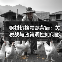 钢材价格震荡背后:关税战与政策调控如何影响?(图3) 钢材价格震荡背后:关税战与政策调控如何影响?(图3)