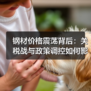 钢材价格震荡背后:关税战与政策调控如何影响?(图4) 钢材价格震荡背后:关税战与政策调控如何影响?(图4)