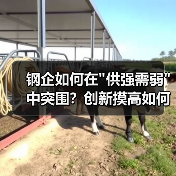 钢企如何在 钢企如何在