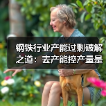 钢铁行业产能过剩破解之道:去产能控产量是唯一出路?(图1) 钢铁行业产能过剩破解之道:去产能控产量是唯一出路?(图1)