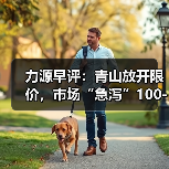 力源早评:青山放开限价,市场“急泻”100-200(图2) 力源早评:青山放开限价,市场“急泻”100-200(图2)
