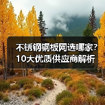 不锈钢钢板网选哪家?10大优质供应商解析(图3) 不锈钢钢板网选哪家?10大优质供应商解析(图3)