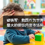 骆铁军:我国作为世界最大的钢铁内需市场将长期存在(图3) 骆铁军:我国作为世界最大的钢铁内需市场将长期存在(图3)