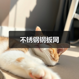 不锈钢钢板网(图1) 不锈钢钢板网(图1)