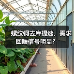 螺纹钢去库提速，需求回暖信号明显？（图3）