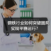 钢铁行业如何突破困局实现平稳运行?(图2) 钢铁行业如何突破困局实现平稳运行?(图2)